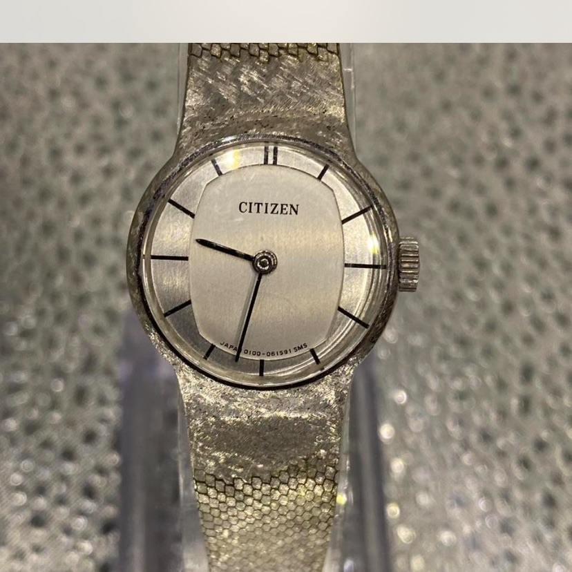 Citizen Textured Silver Timepiece